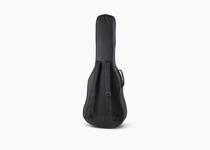Singer 01 Series Dreadnought Acoustic Guitar