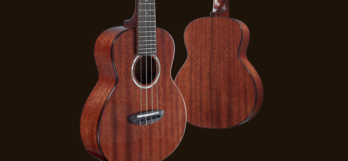 aNueNue African Mahogany Series AMM2 | Concert Ukulele