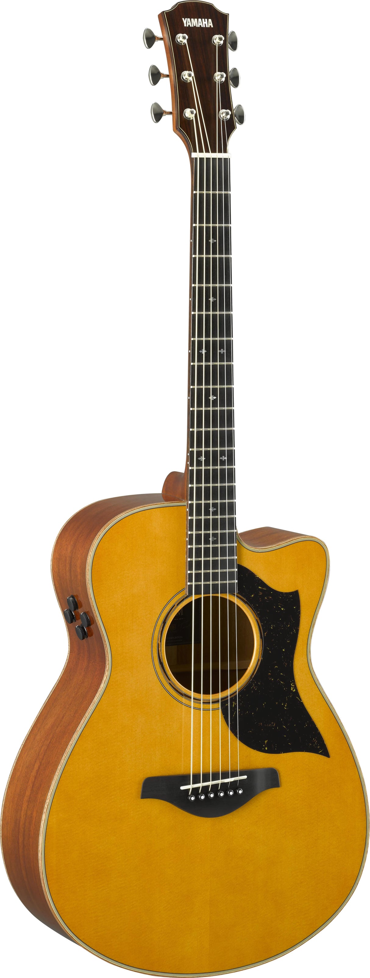 Yamaha AC5M ARE | Acoustic Guitar