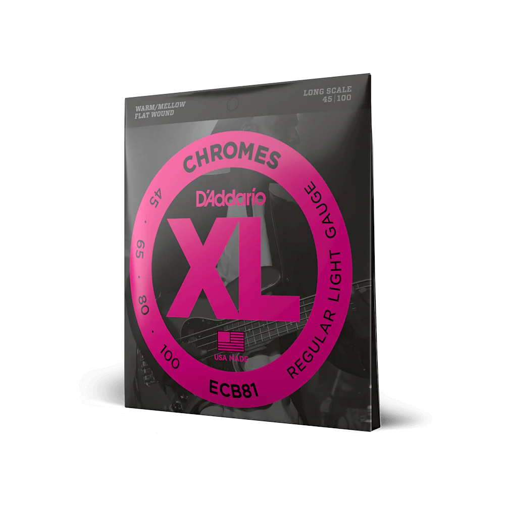 D'Addario ECB81| XL Electric Bass Guitar Strings 45-100