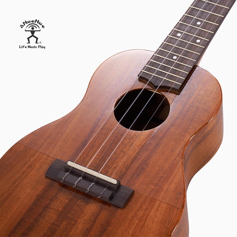 aNueNue Guitar Protector Pickguard