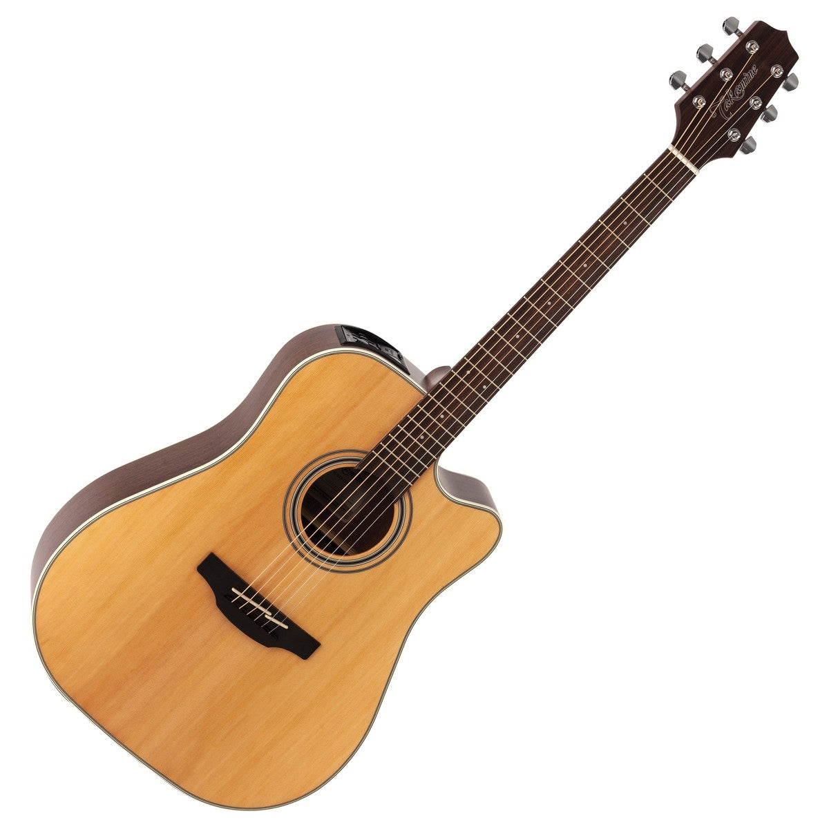 Takamine GD20CE | Acoustic Guitar