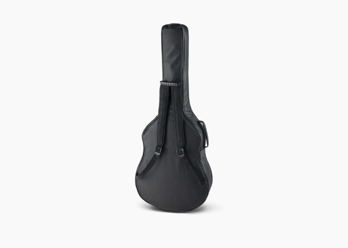 Singer D03 Series Dreadnought Acoustic Guitar