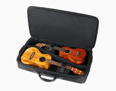 aNueNue Deluxe Double Gigbag