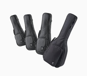 aNueNue Standard Gigbag