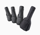 aNueNue Standard Gigbag