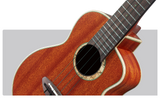 aNueNue Green Planet Ukulele Strings