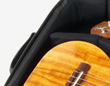 aNueNue Deluxe Double Gigbag