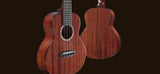 aNueNue African Mahogany Series AMM2 | Concert Ukulele