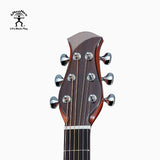 aNueNue Solid Sitka LF23