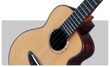 aNueNue Blue Moon Ukulele Strings