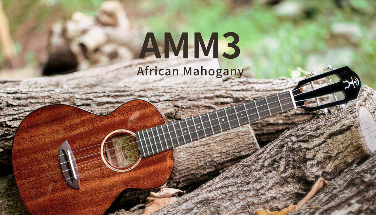 aNueNue African Mahogany Series AMM3 | Tenor Ukulele
