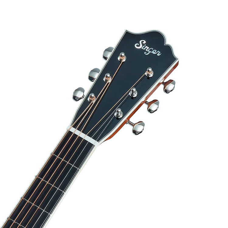 Singer Imagine D05 Dreadnought Acoustic Guitar