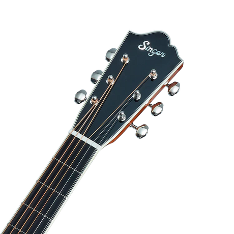 Singer Imagine D05 Dreadnought Acoustic Guitar