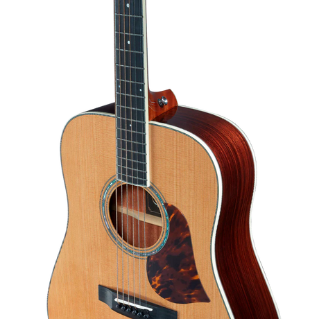 Singer Imagine D05 Dreadnought Acoustic Guitar