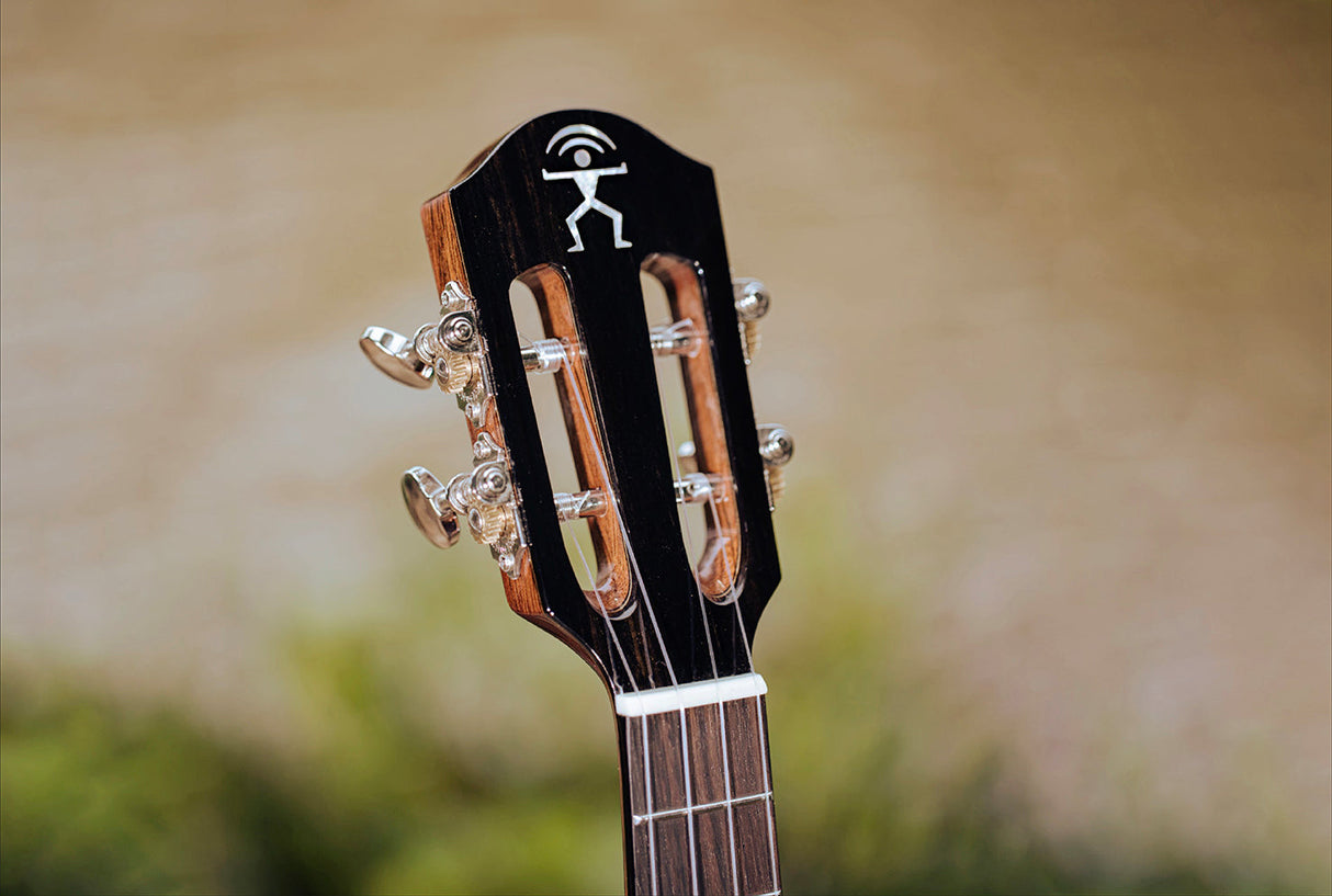 aNueNue African Mahogany Series AMM2 | Concert Ukulele